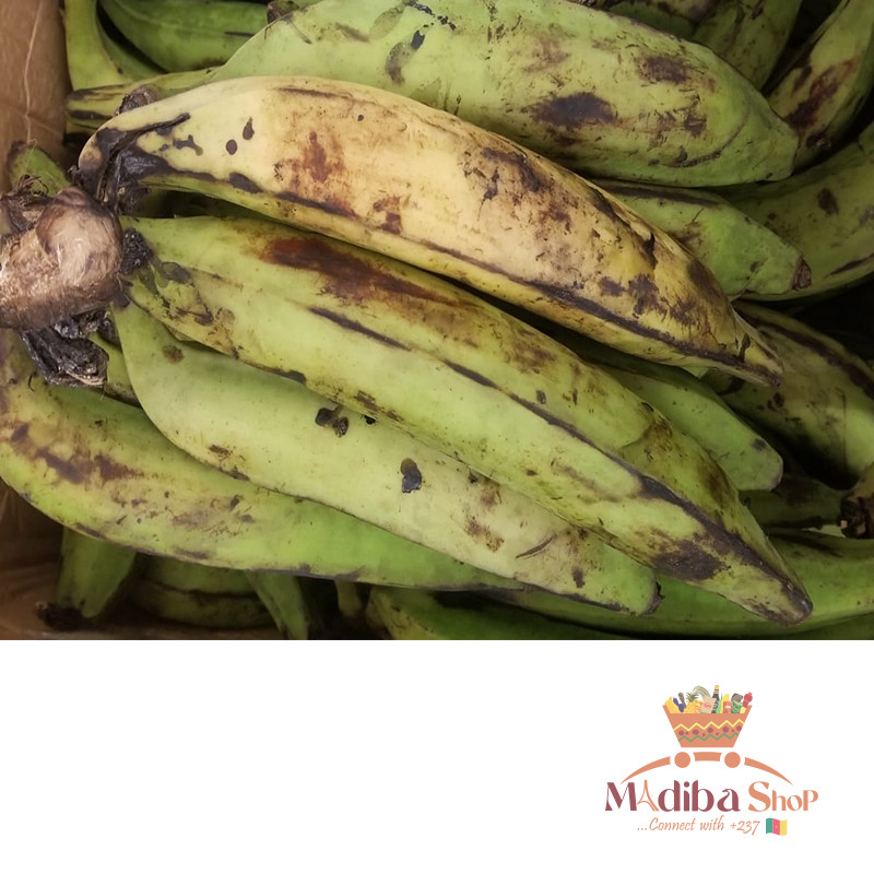 Plantains from Cameroon