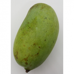 Mangues du Cameroun kg